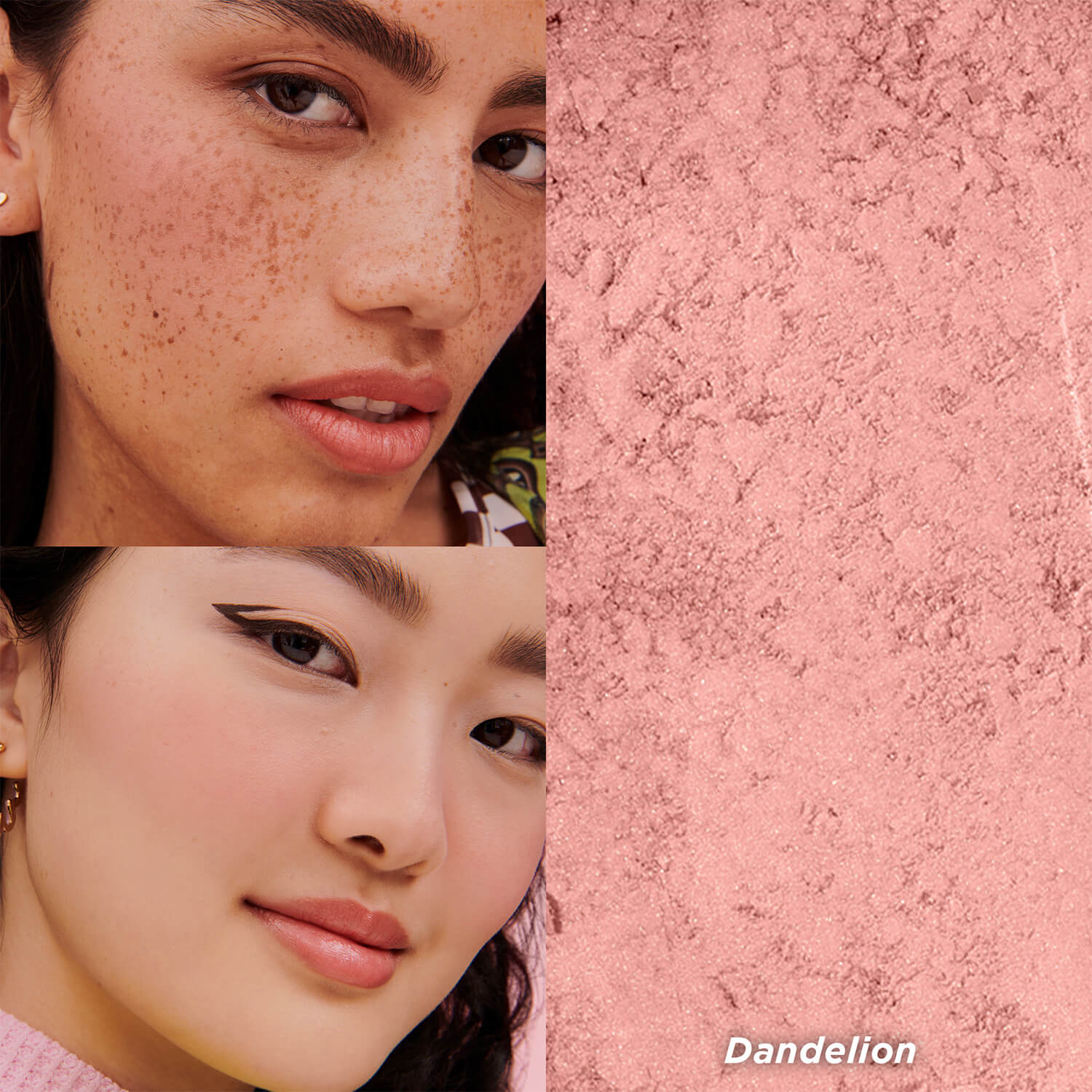 BOX O´POWDER BLUSH (RUBOR EN POLVO)